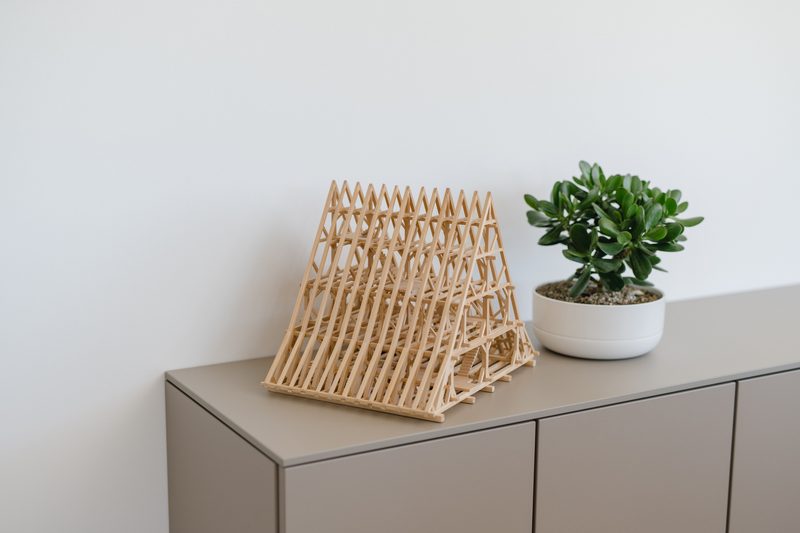 Hölzernes Dachmodell und eine Grünpflanze auf einem Sideboard